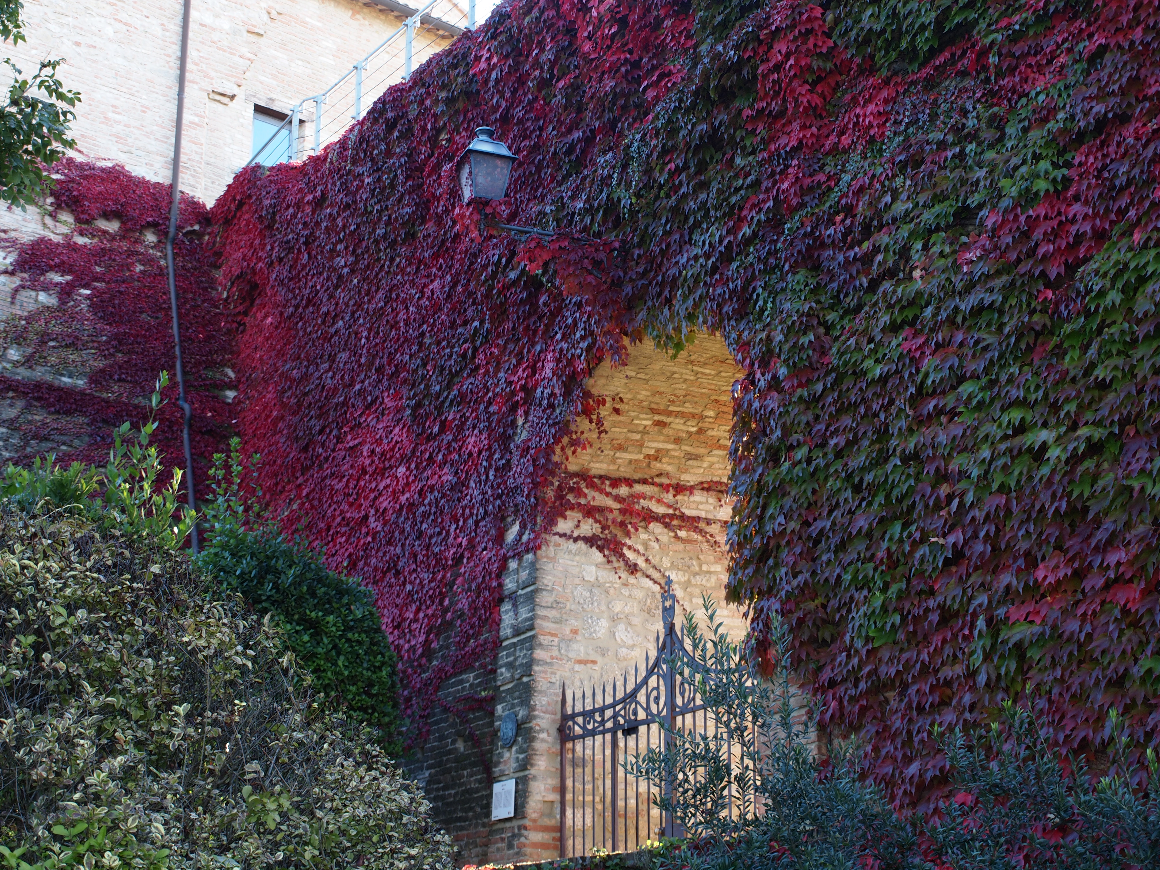bertinoro